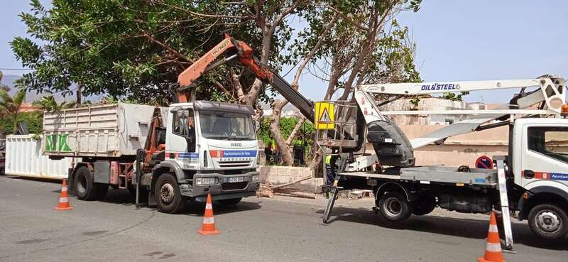 Maquinaria de Parques y Jardines trabajando este miércoles en la zona/TA.